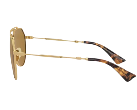 185922-Zonnebril Dolce & Gabbana DG2302