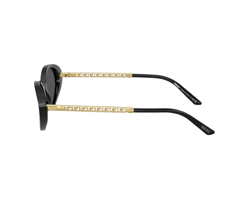 Zonnebril Versace Tubular Greca VE4469