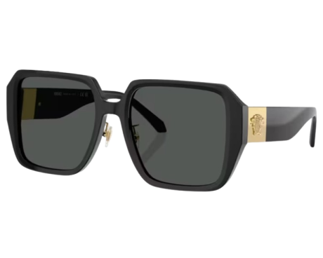 186698-Zonnebril Versace VE4472D