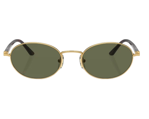 Sunglasses Persol PO1018S