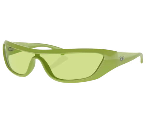 Lunettes de Soleil Ray-Ban Xan RB4431