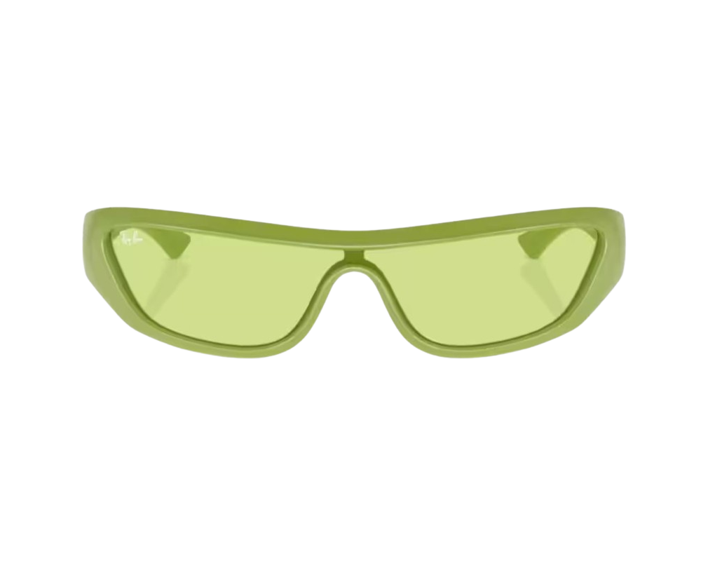 Lunettes de Soleil Ray-Ban Xan RB4431