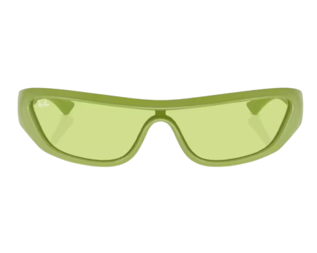 190495-Zonnebril Ray-Ban Xan RB4431