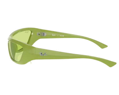 Lunettes de Soleil Ray-Ban Xan RB4431