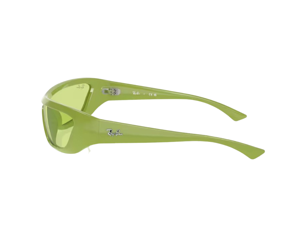 Zonnebril Ray-Ban Xan RB4431