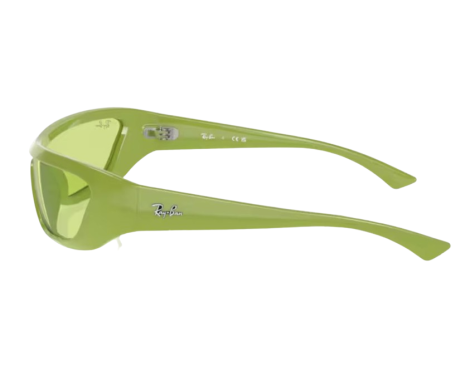 190496-Zonnebril Ray-Ban Xan RB4431