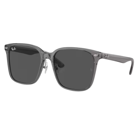 Lunettes de Soleil Ray-Ban RB2206D