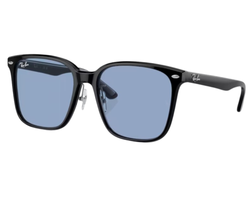 Lunettes de Soleil Ray-Ban RB2206D
