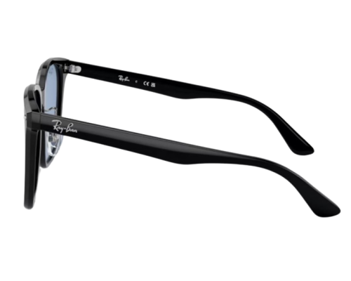 Sunglasses Ray-Ban RB2206D