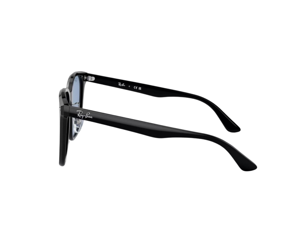 Lunettes de Soleil Ray-Ban RB2206D