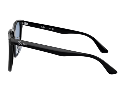 190718-Lunettes de Soleil Ray-Ban RB2206D