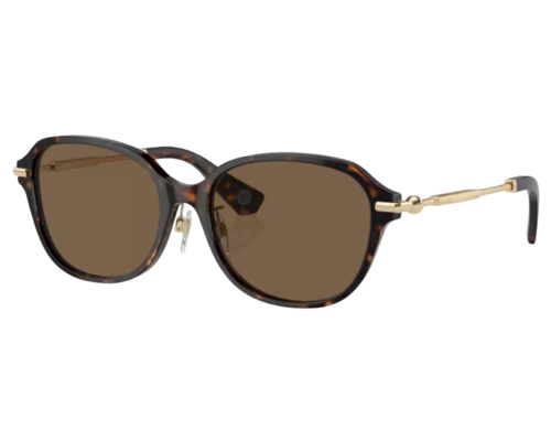 Lunettes de Soleil Burberry BE4429D