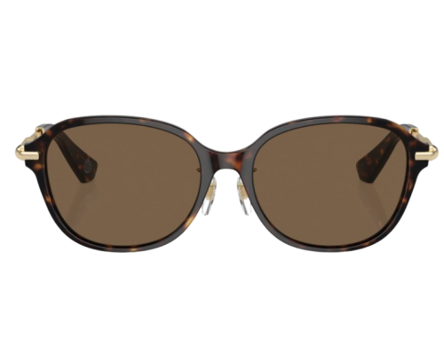 Lunettes de Soleil Burberry BE4429D