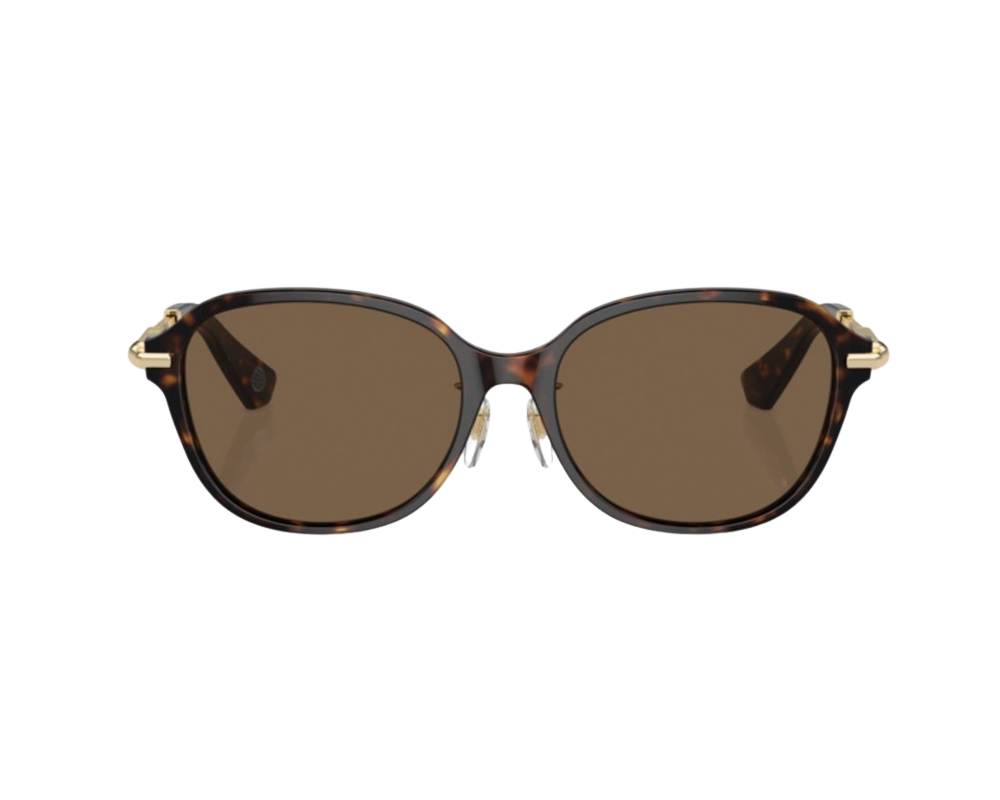 Lunettes de Soleil Burberry BE4429D