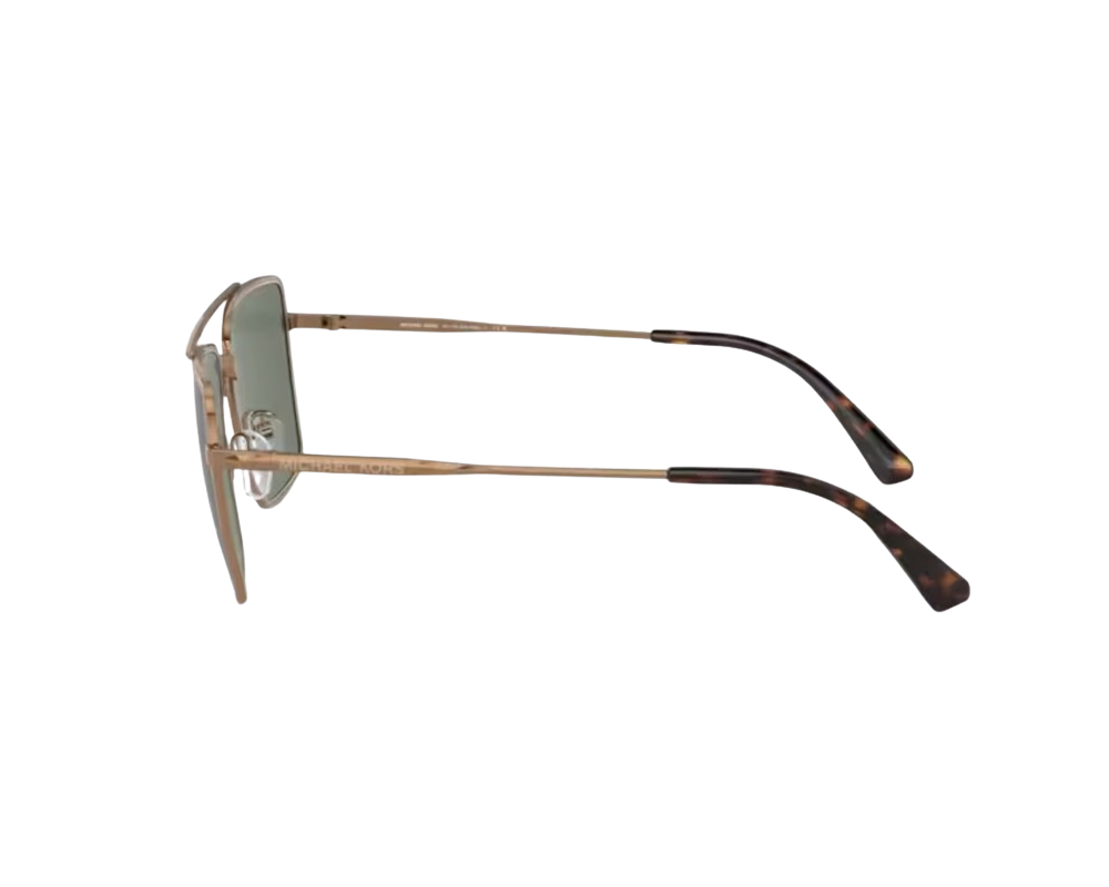 Lunettes de Soleil Michael Kors MK1154