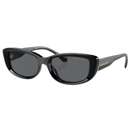 Lunettes de Soleil Michael Kors Asheville MK2210U