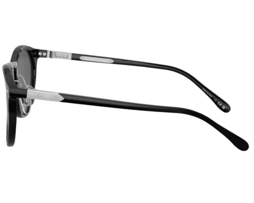 Lunettes de Soleil Ralph Lauren RL8223