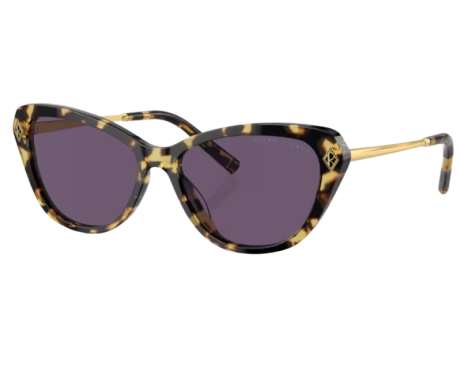 191689-Sunglasses Ralph Lauren RL8224U