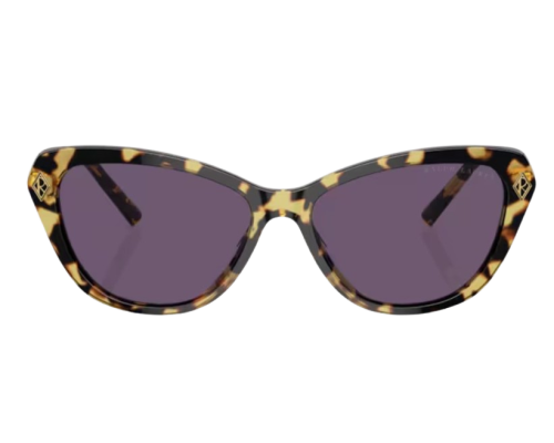 Sunglasses Ralph Lauren RL8224U