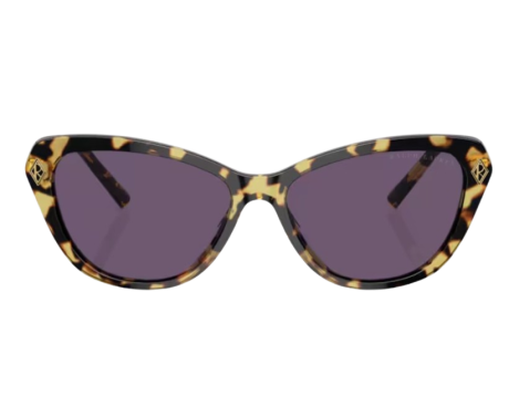 191693-Lunettes de Soleil Ralph Lauren RL8224U