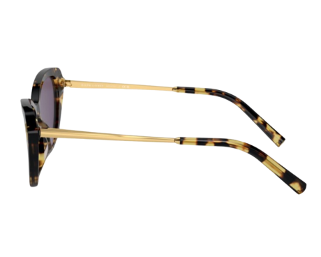 191694-Lunettes de Soleil Ralph Lauren RL8224U