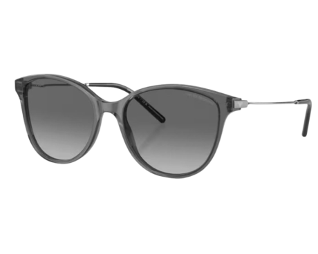 191723-Lunettes de Soleil Emporio Armani EA4220
