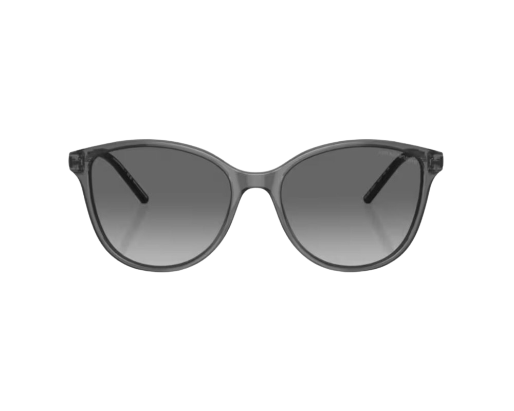 Zonnebril Emporio Armani EA4220