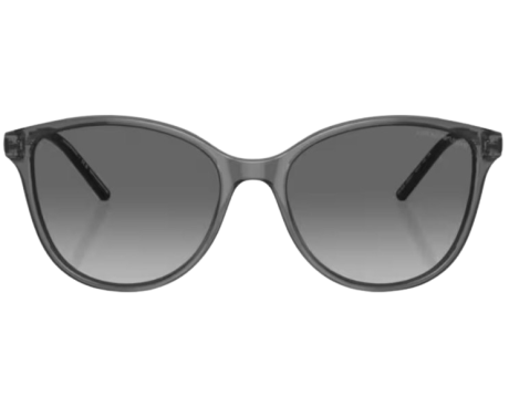 191724-Zonnebril Emporio Armani EA4220