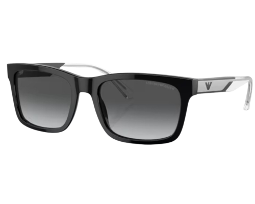 Sunglasses Emporio Armani EA4224