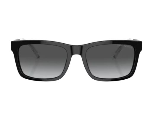 Sunglasses Emporio Armani EA4224