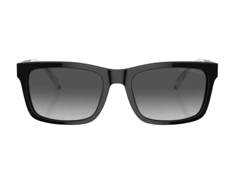 191736-Lunettes de Soleil Emporio Armani EA4224