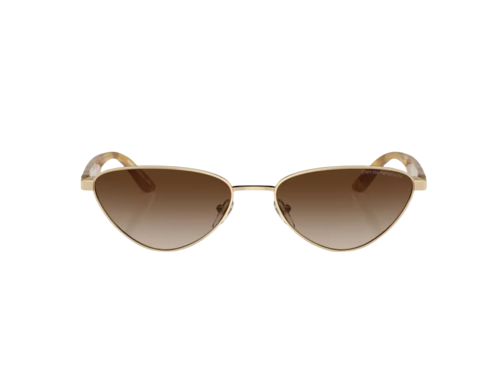 Sunglasses Emporio Armani EA2153