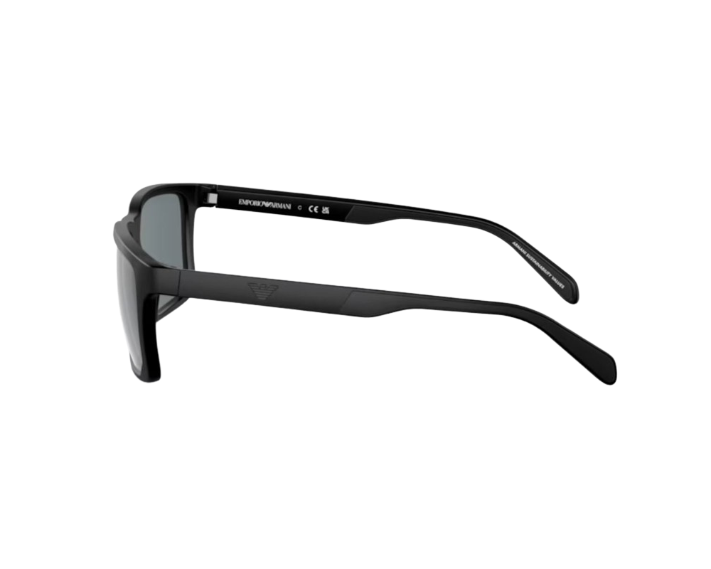Sunglasses Emporio Armani EA4219