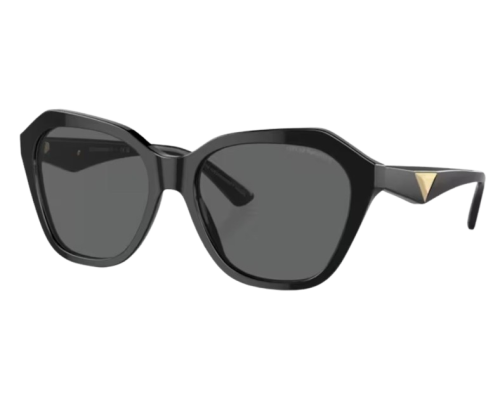 Lunettes de Soleil Emporio Armani EA4221