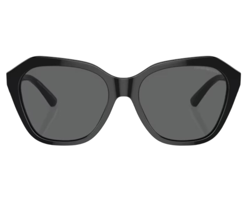 Lunettes de Soleil Emporio Armani EA4221