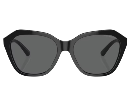191834-Lunettes de Soleil Emporio Armani EA4221