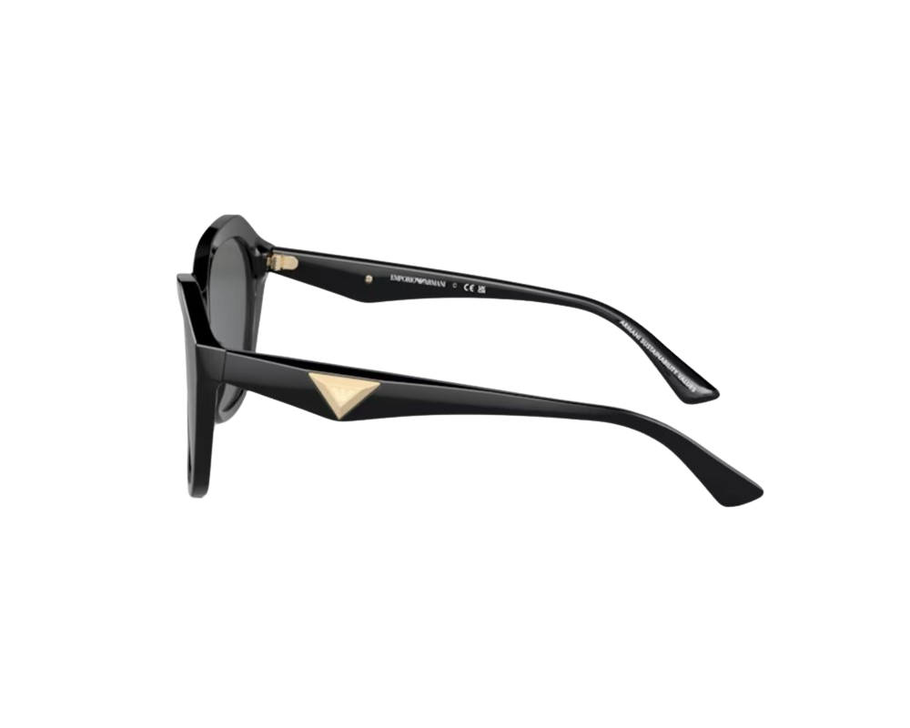 Zonnebril Emporio Armani EA4221