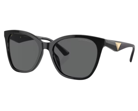 191843-Emporio Armani EA4222U Zonnebril