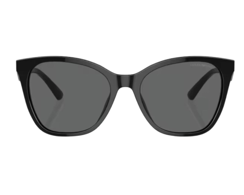 Lunettes de Soleil Emporio Armani EA4222U