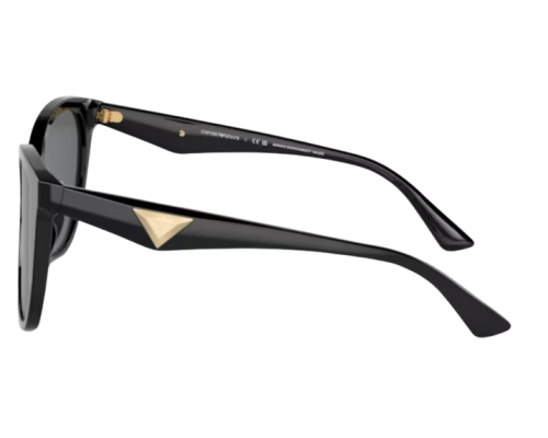 Lunettes de Soleil Emporio Armani EA4222U