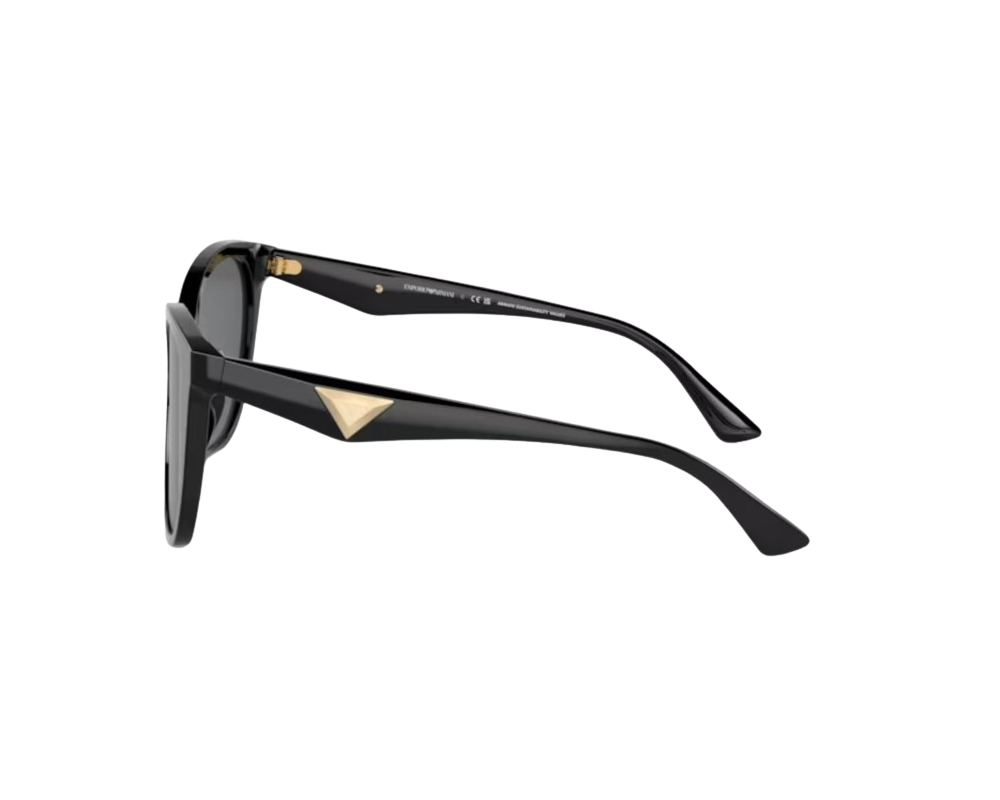 Emporio Armani EA4222U Zonnebril