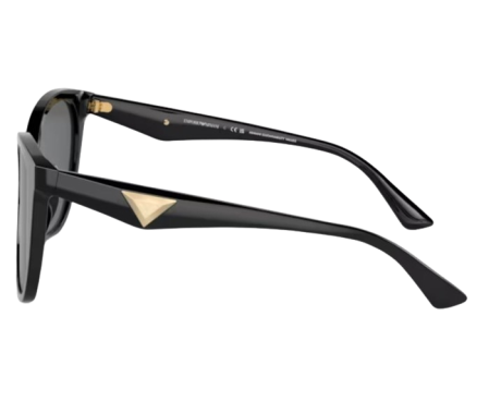 191845-Emporio Armani EA4222U Zonnebril