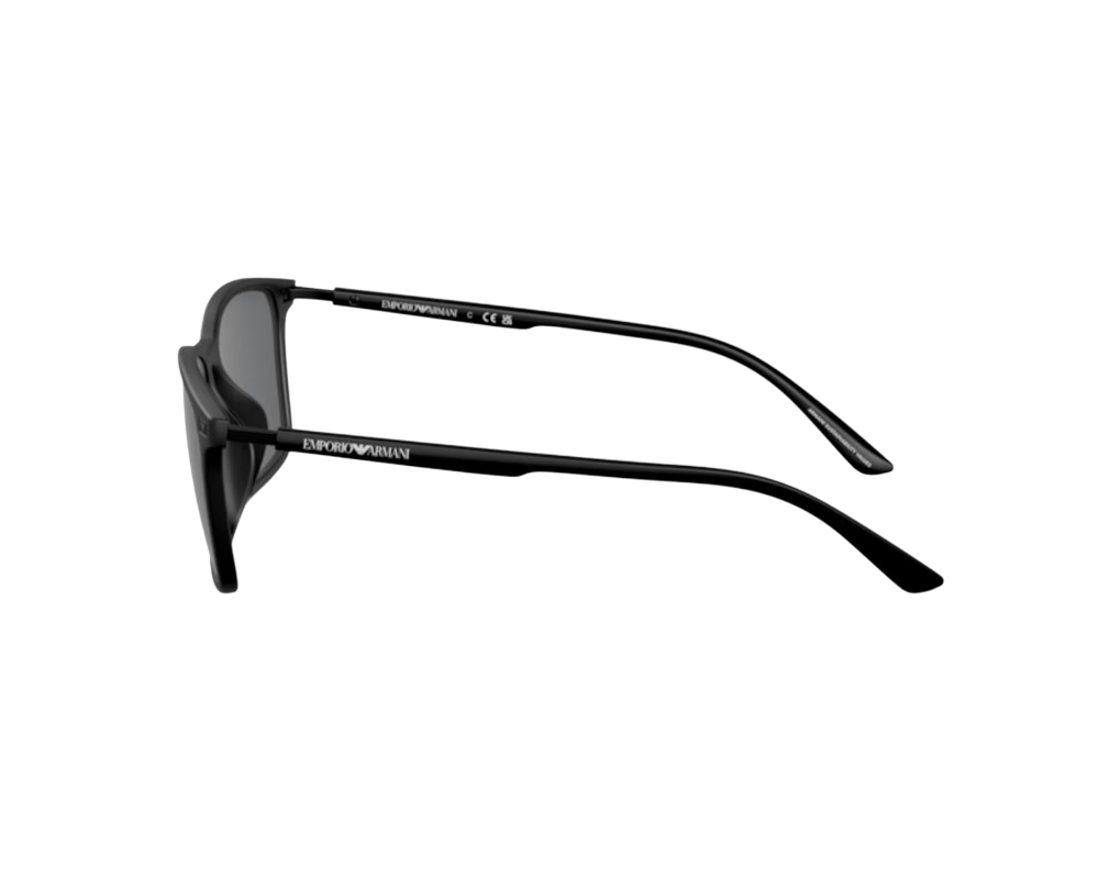 Sunglasses Emporio Armani EA4223U