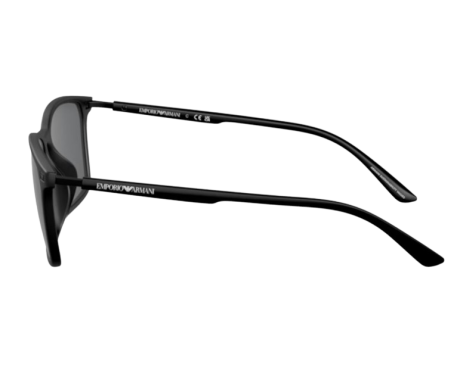 191876-Sunglasses Emporio Armani EA4223U