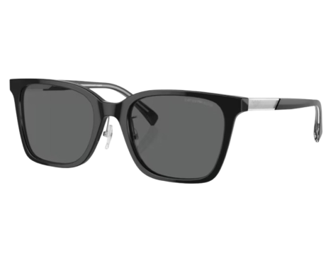 191898-Lunettes de Soleil Emporio Armani EA4226D