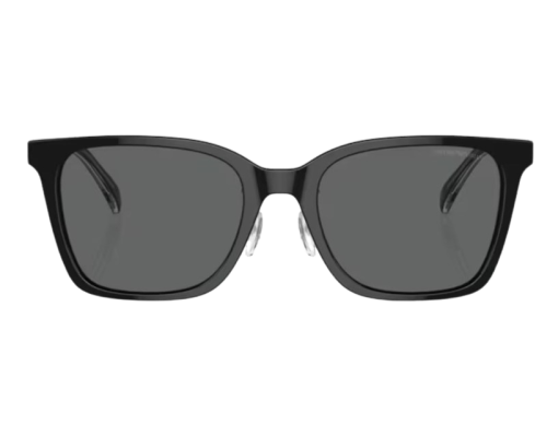 Lunettes de Soleil Emporio Armani EA4226D