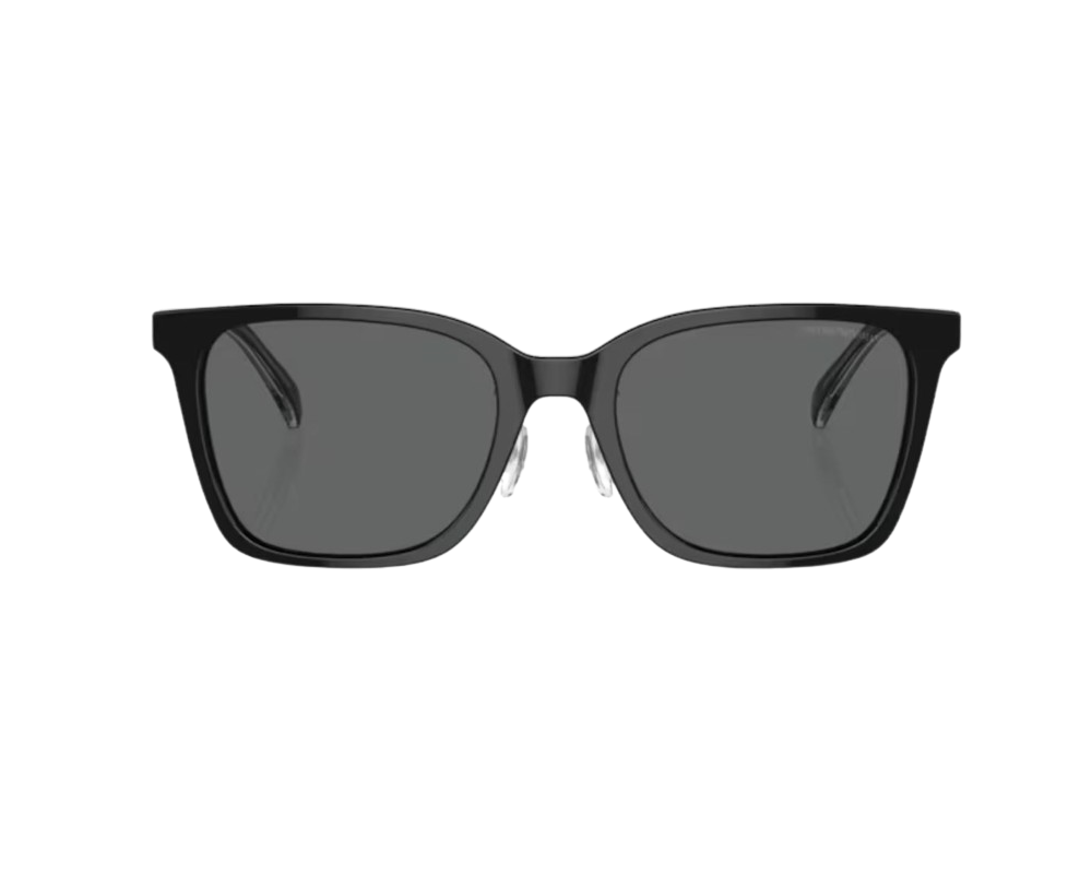 Zonnebril Emporio Armani EA4226D