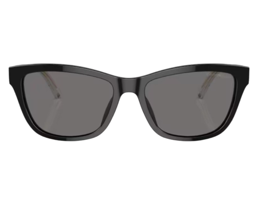 Lunettes de Soleil Emporio Armani EA4227U