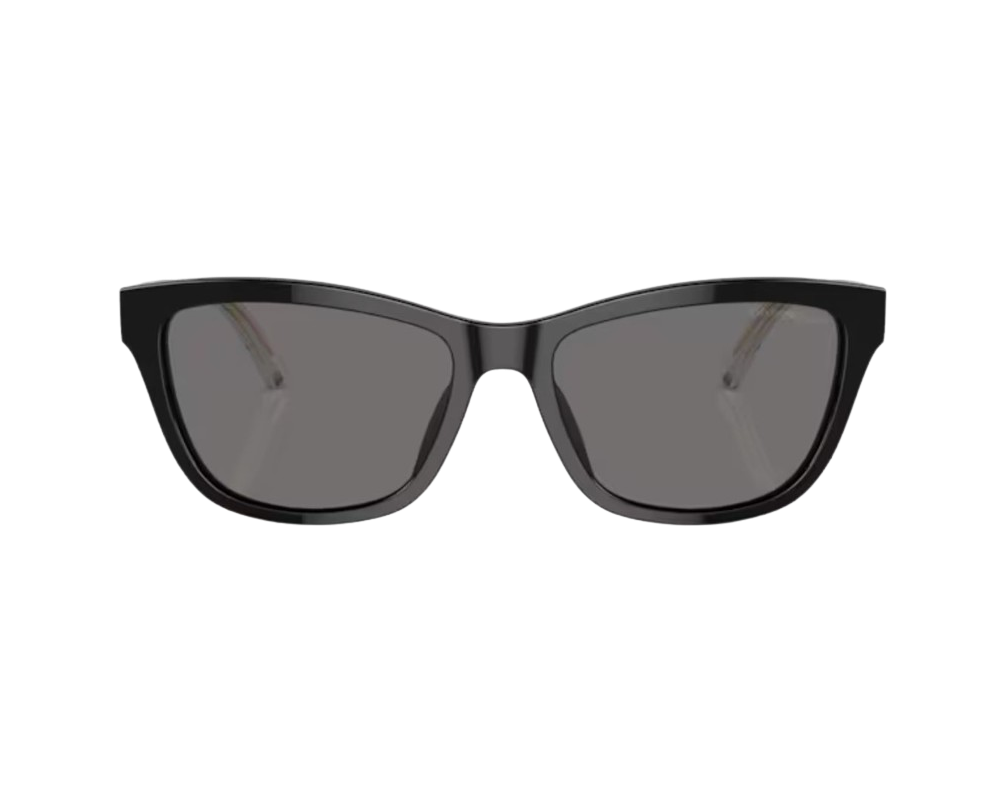 Zonnebril Emporio Armani EA4227U