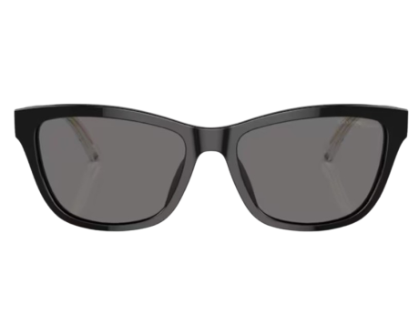 191915-Lunettes de Soleil Emporio Armani EA4227U